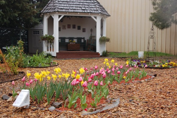 TE Pink Tulip Ribbon Garden-1